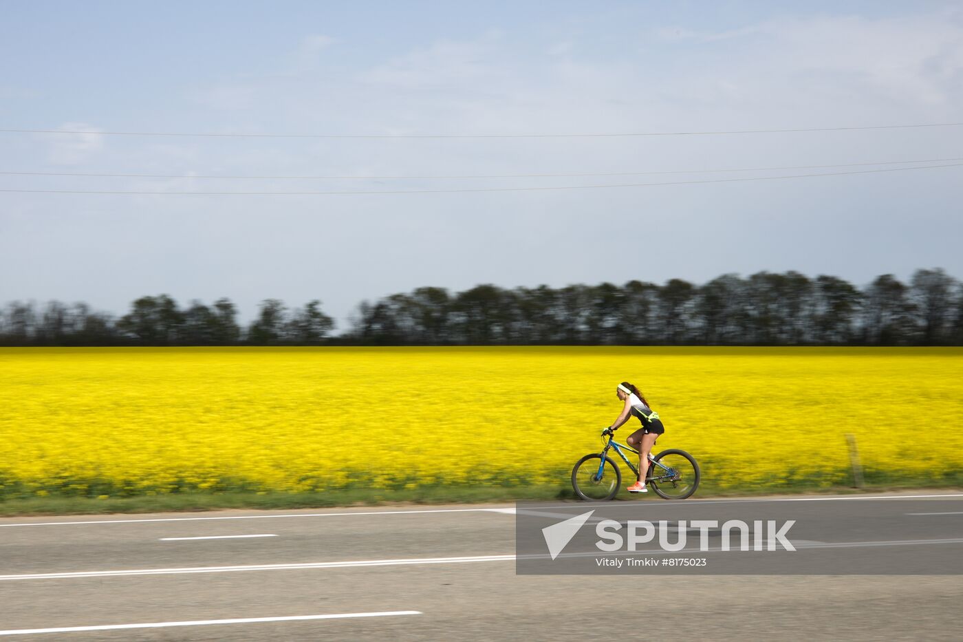 Russia Agriculture Rapeseed