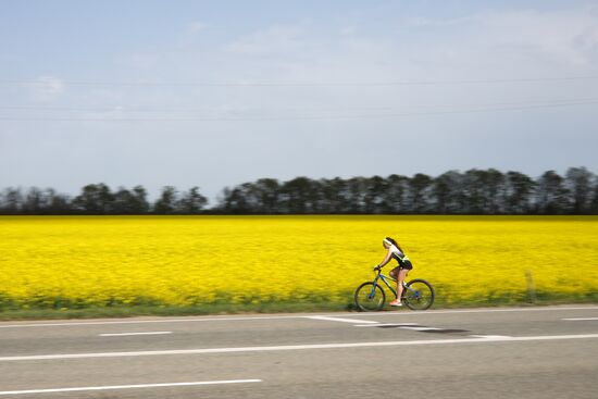 Russia Agriculture Rapeseed