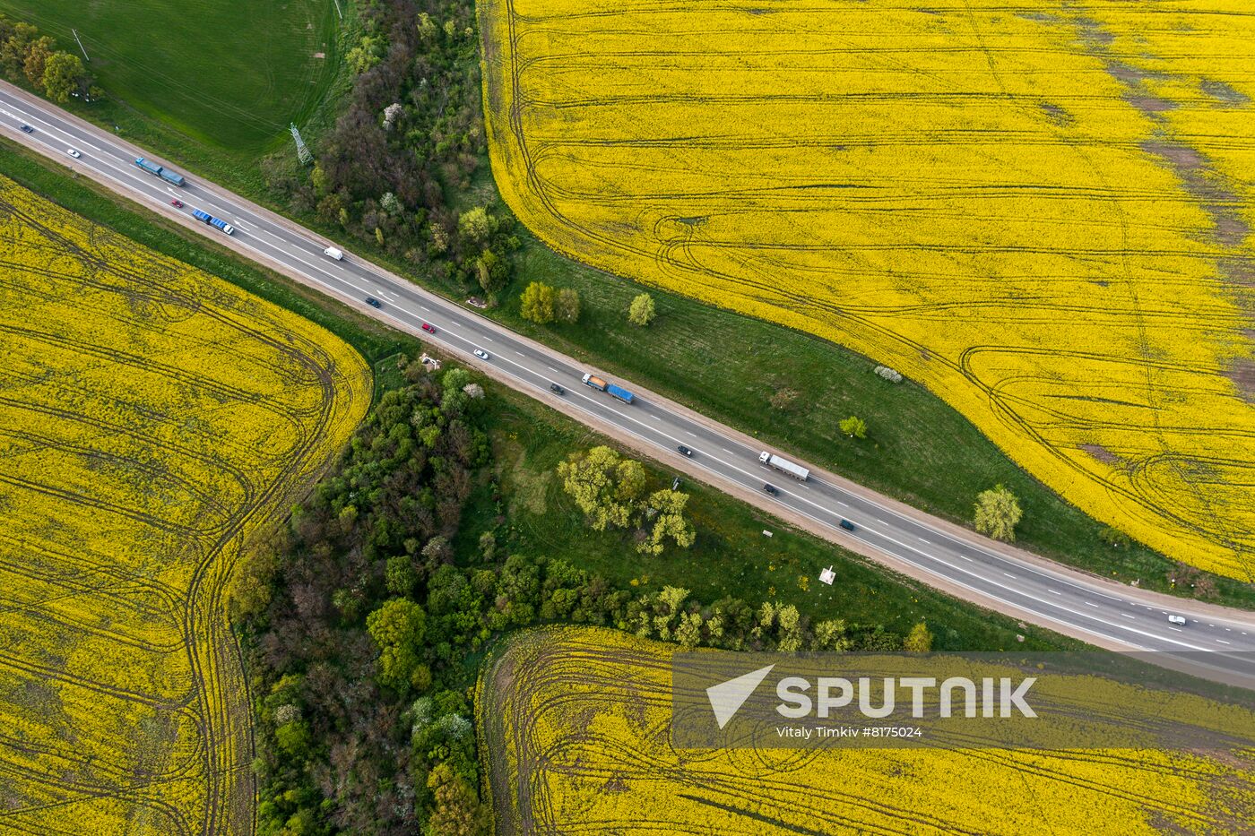 Russia Agriculture Rapeseed