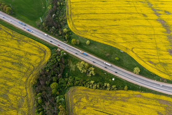 Russia Agriculture Rapeseed