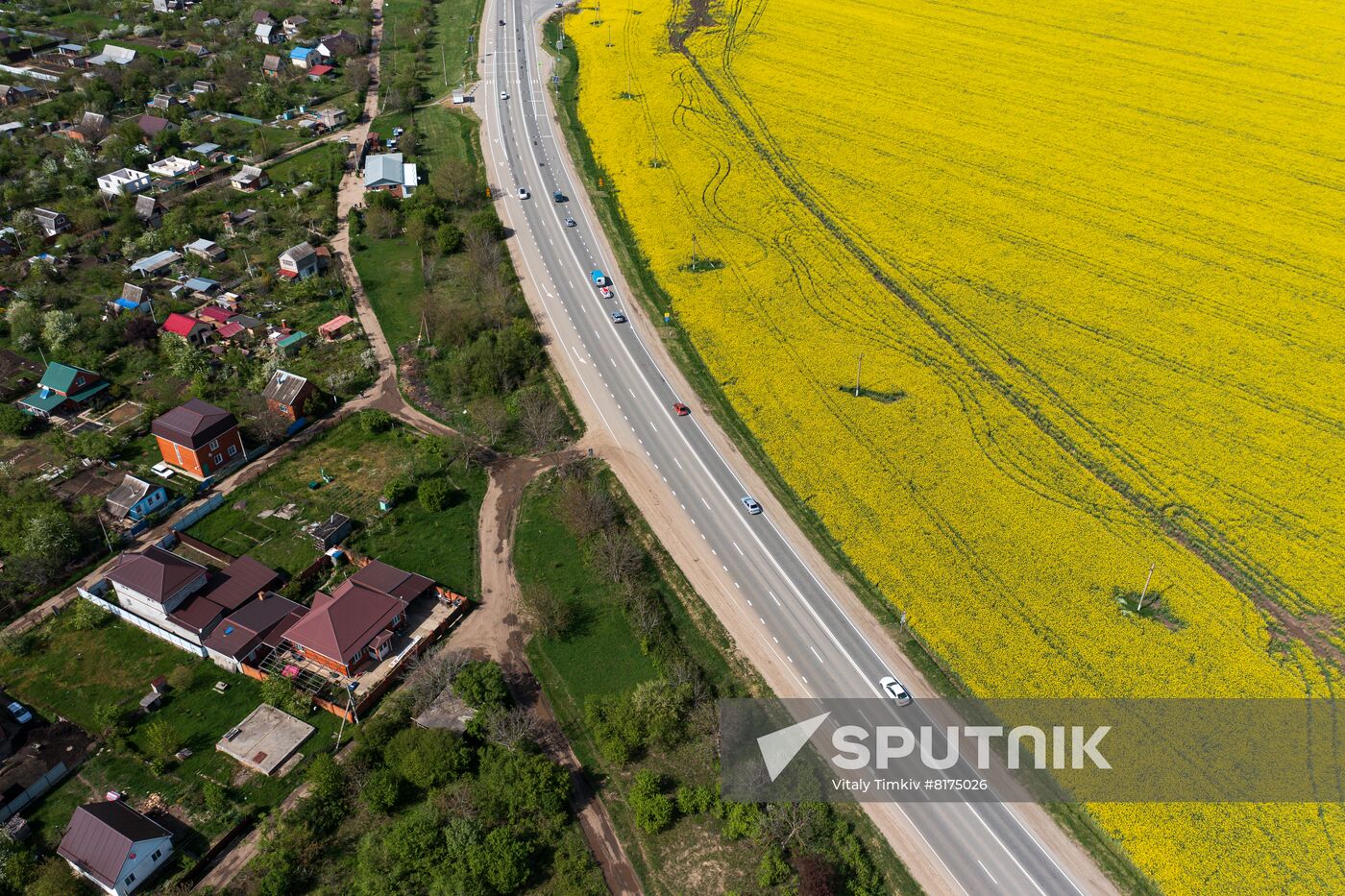 Russia Agriculture Rapeseed