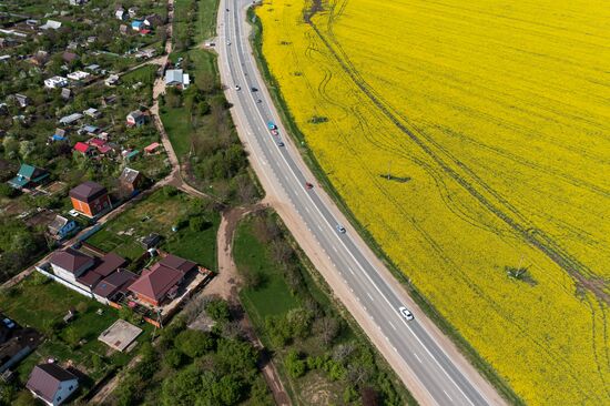Russia Agriculture Rapeseed