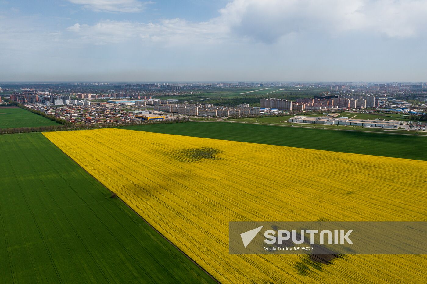 Russia Agriculture Rapeseed