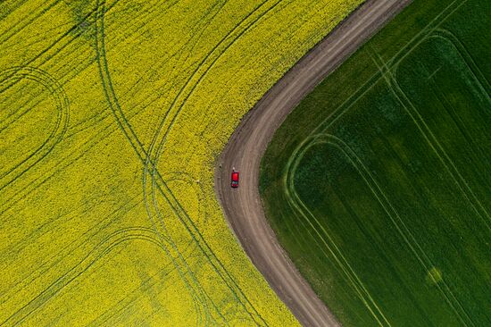 Russia Agriculture Rapeseed