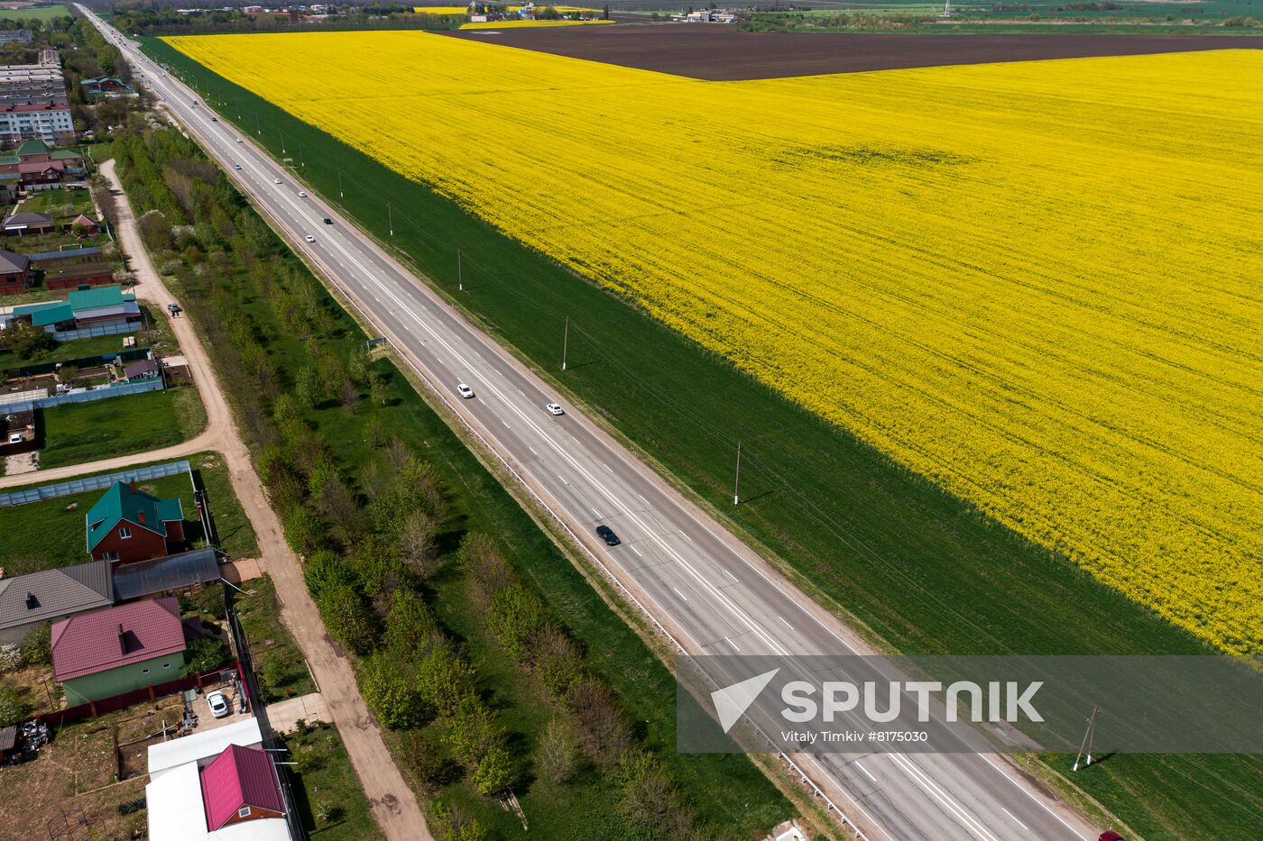 Russia Agriculture Rapeseed