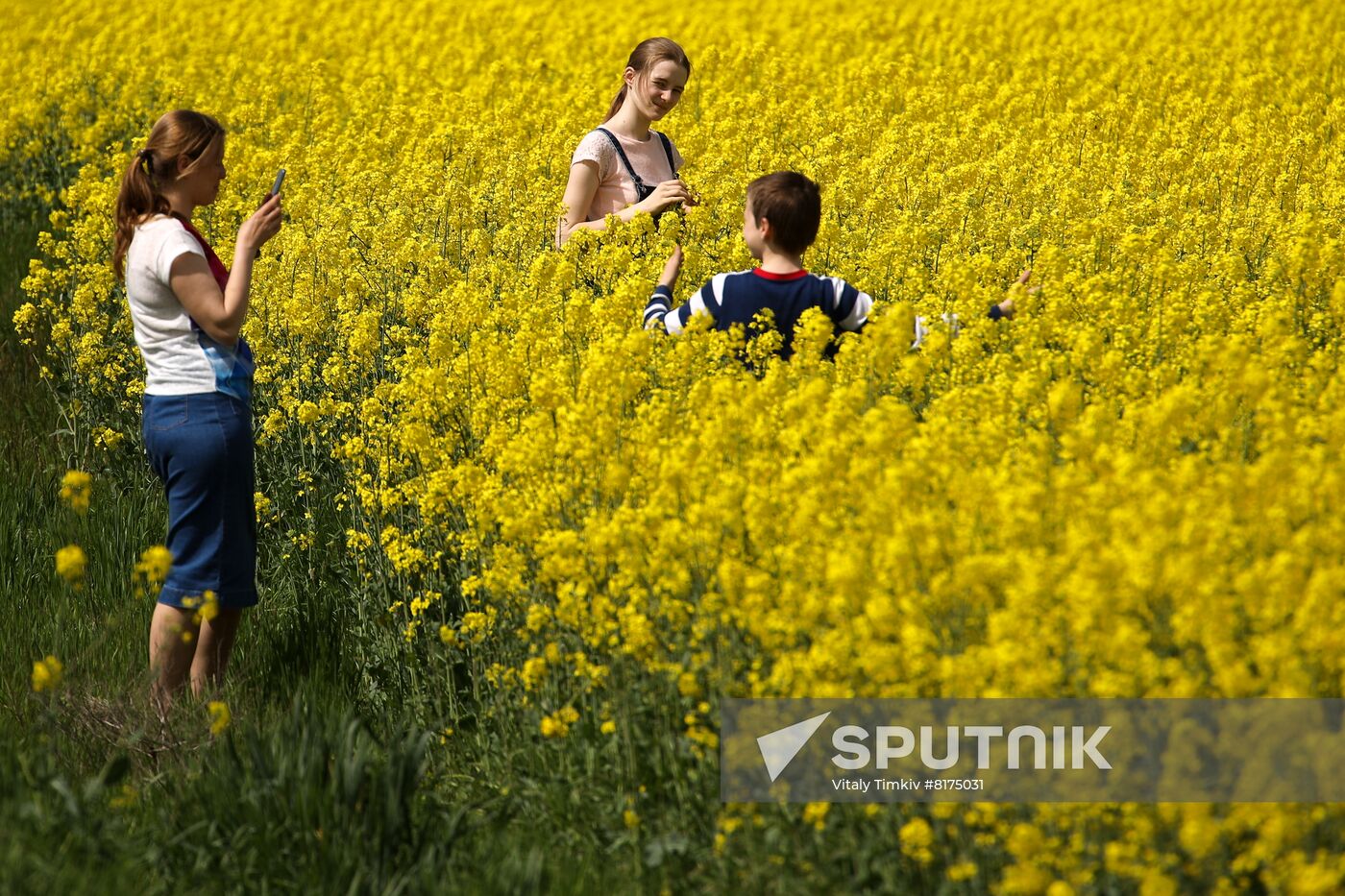 Russia Agriculture Rapeseed