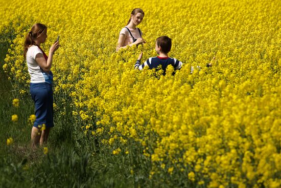 Russia Agriculture Rapeseed