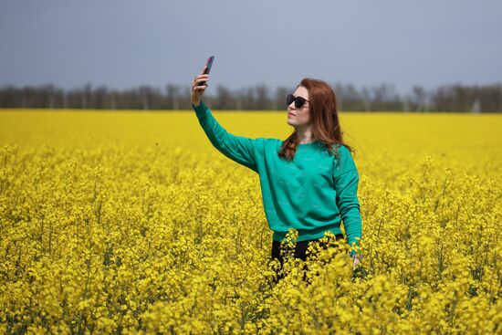 Russia Agriculture Rapeseed