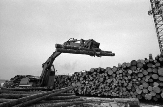 Ust-Ilimsk timber industry complex