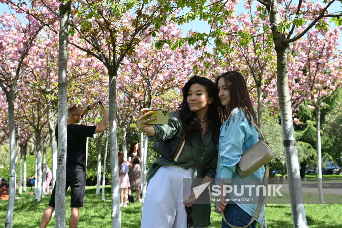 Russia Environment Cherry Blossom