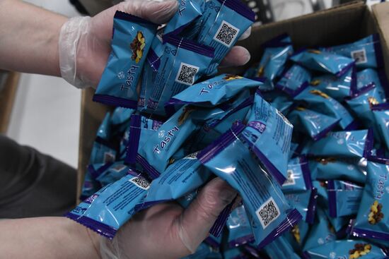Russia Food Industry