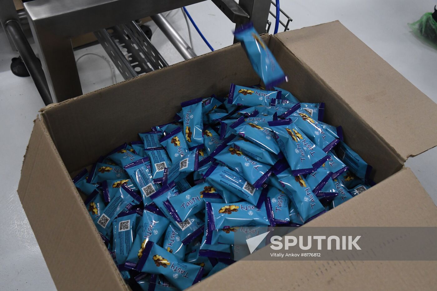 Russia Food Industry