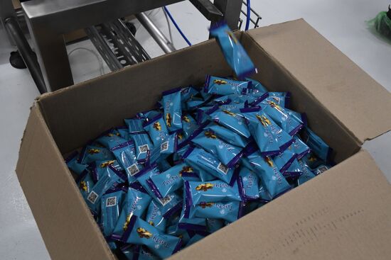 Russia Food Industry