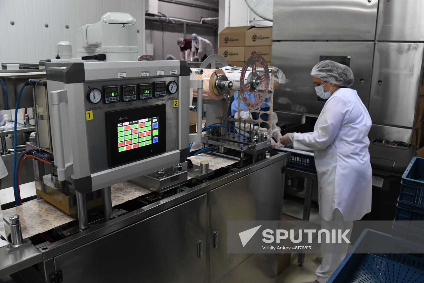 Russia Food Industry