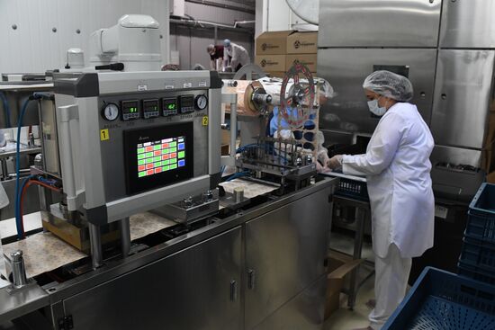 Russia Food Industry