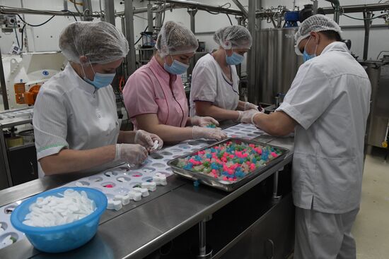 Russia Food Industry