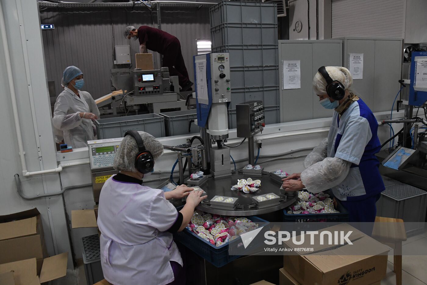 Russia Food Industry