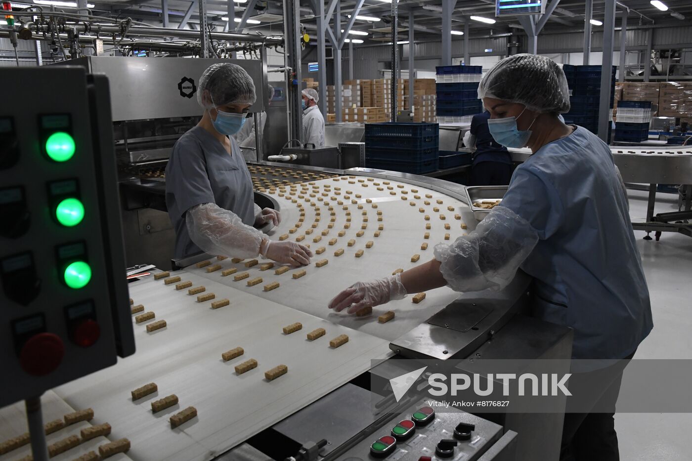 Russia Food Industry