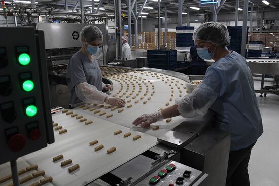 Russia Food Industry
