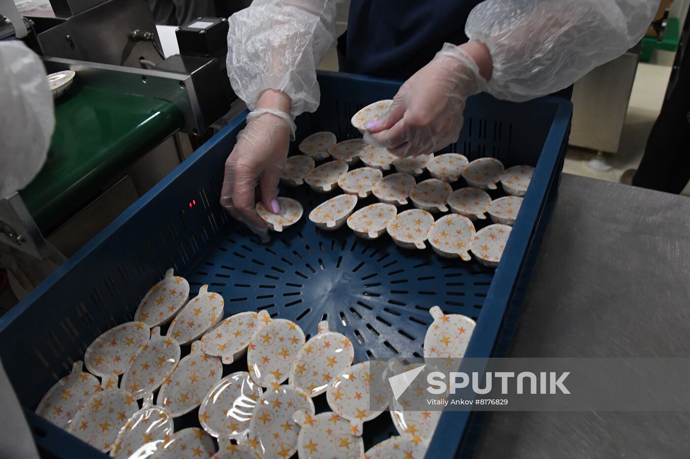 Russia Food Industry