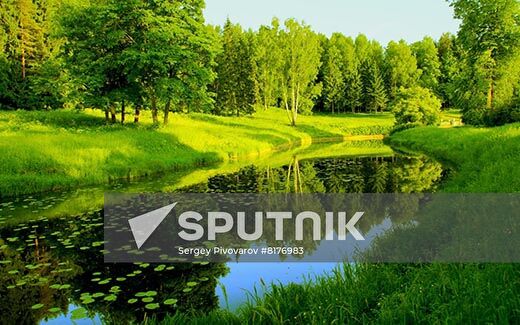 Russia Military Support Rallies