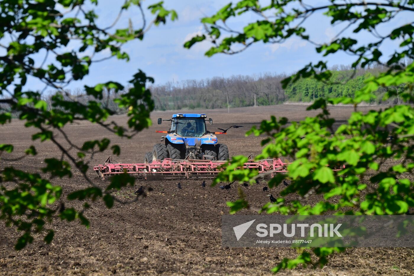 DPR LPR Russia Ukraine Military Operation