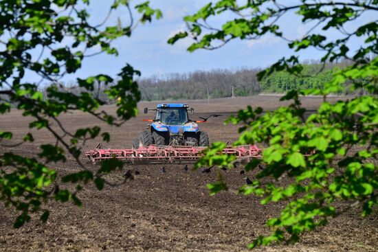 DPR LPR Russia Ukraine Military Operation
