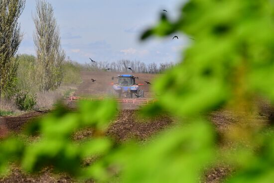 DPR LPR Russia Ukraine Military Operation