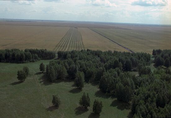 Kostryakovsky State Farm