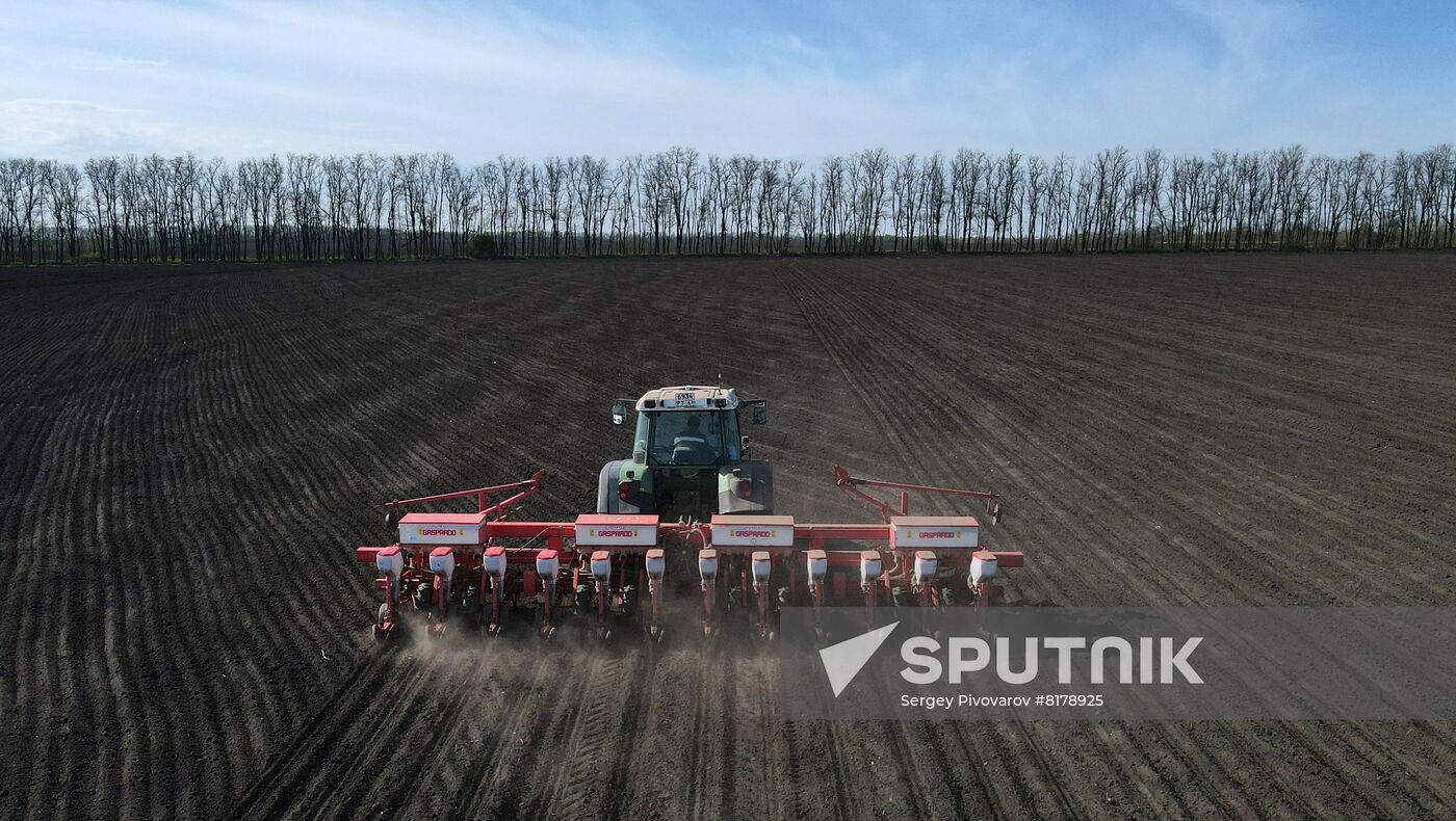 Russia Agruculture Sowing
