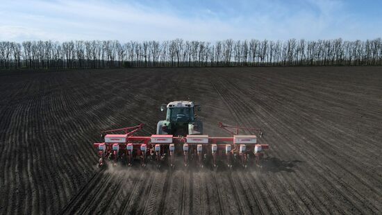 Russia Agruculture Sowing