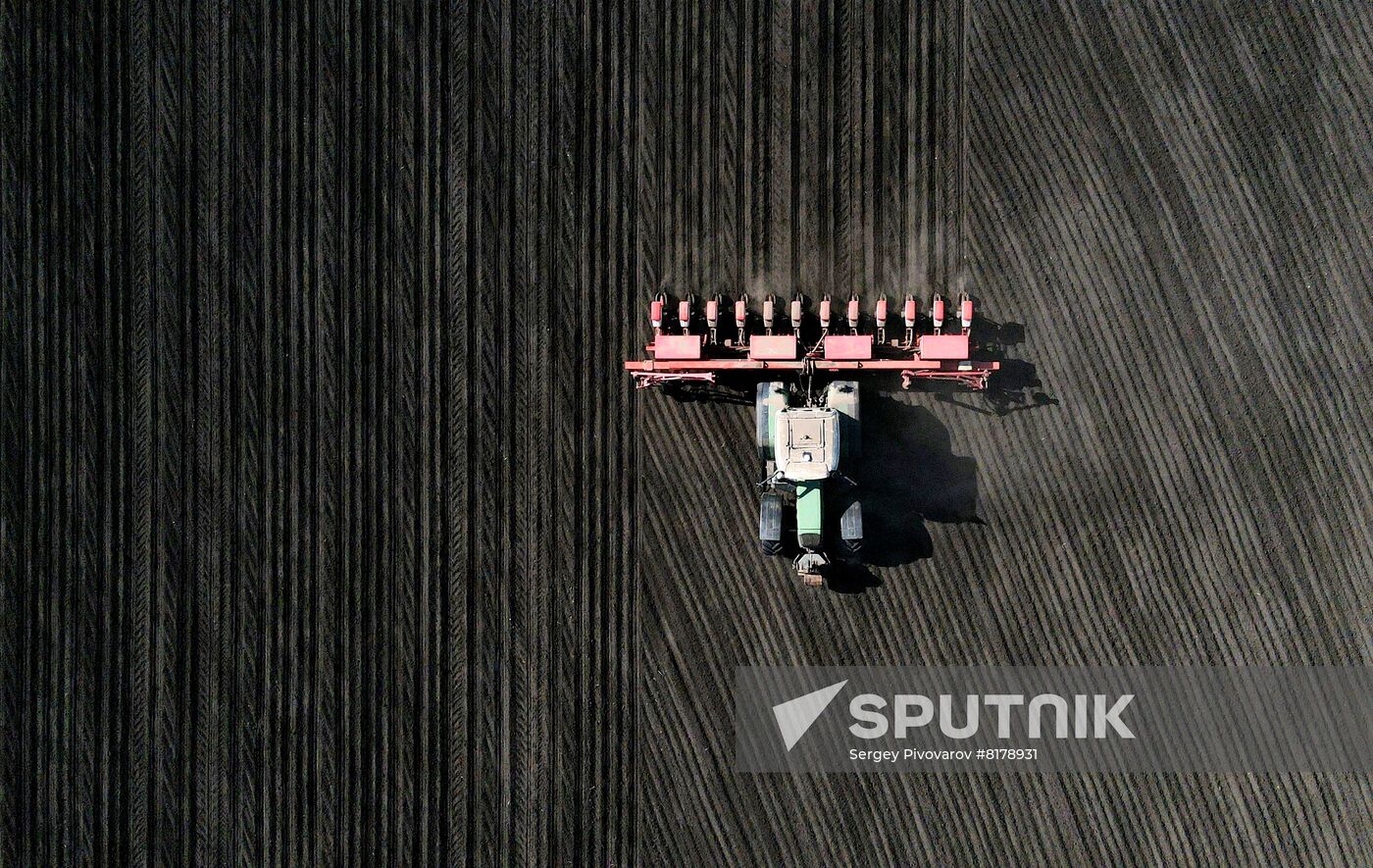 Russia Agruculture Sowing