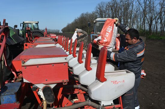 Russia Agruculture Sowing