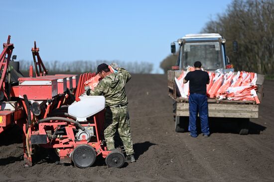 Russia Agruculture Sowing