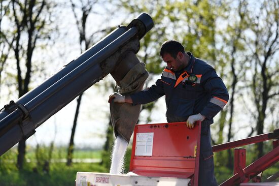 Russia Agruculture Sowing