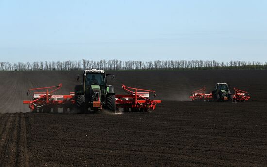 Russia Agruculture Sowing