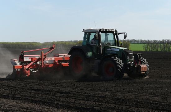 Russia Agruculture Sowing