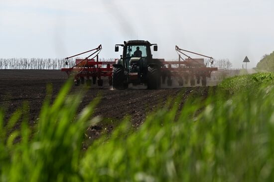 Russia Agruculture Sowing