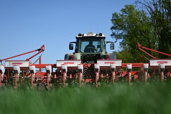 Russia Agruculture Sowing