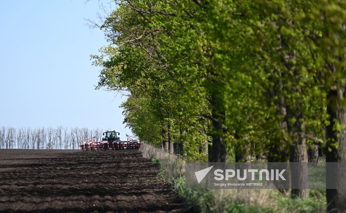 Russia Agruculture Sowing