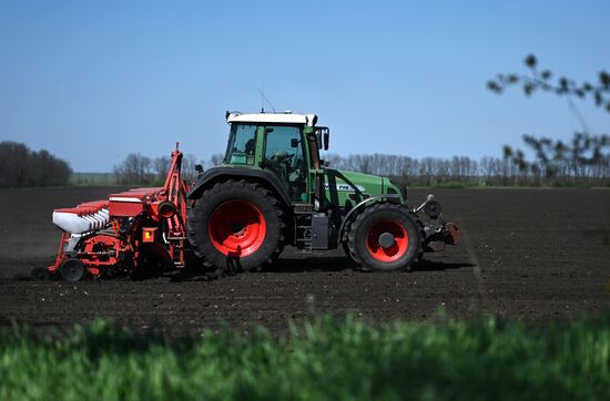 Russia Agruculture Sowing