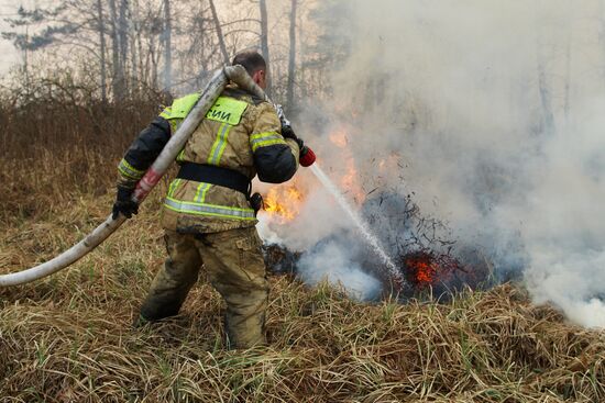 Russia Wild Fires