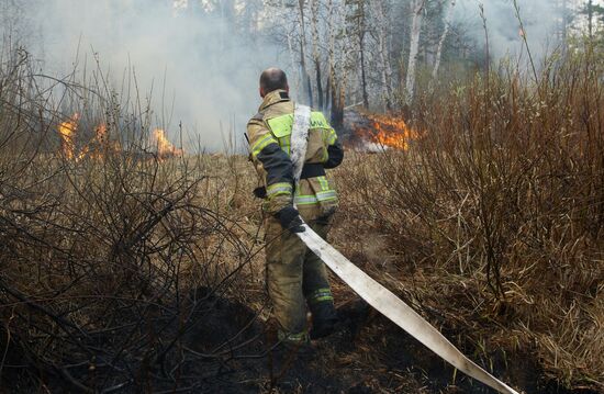 Russia Wild Fires