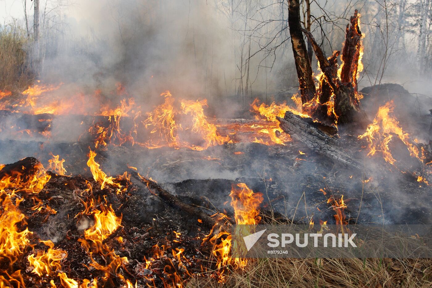 Russia Wild Fires