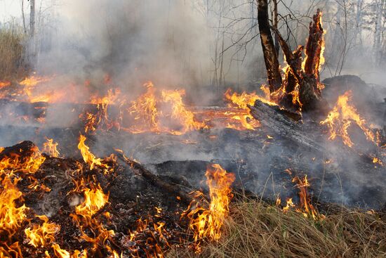 Russia Wild Fires