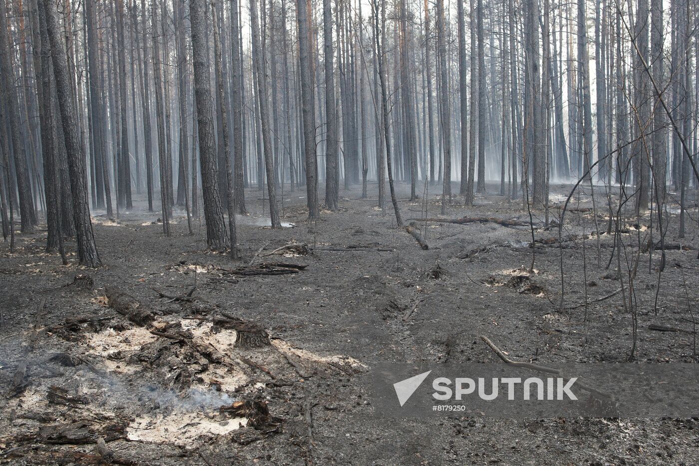 Russia Wild Fires