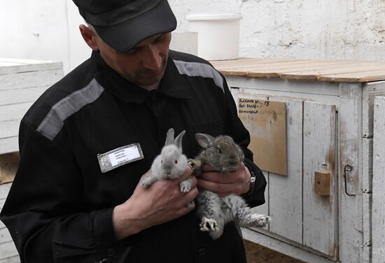 Russia Siberia Penal Colony