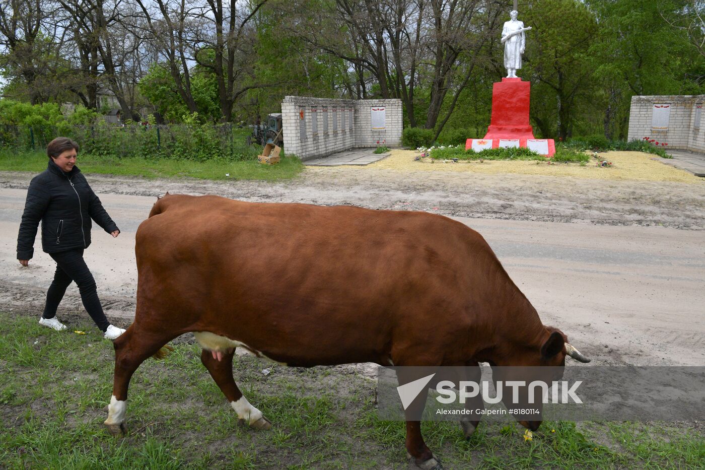 DPR LPR Russia Ukraine Military Operation