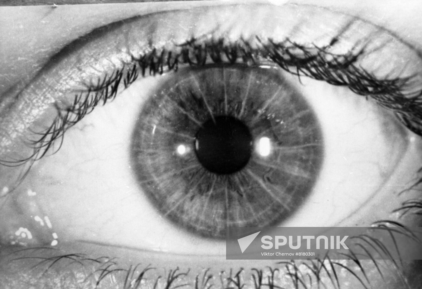 Scientific Research Laboratory of Experimental and Clinical Eye Surgery