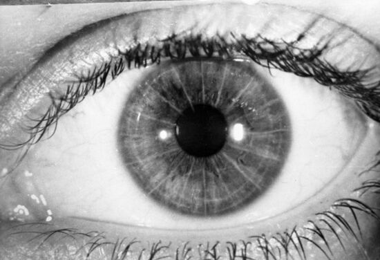 Scientific Research Laboratory of Experimental and Clinical Eye Surgery